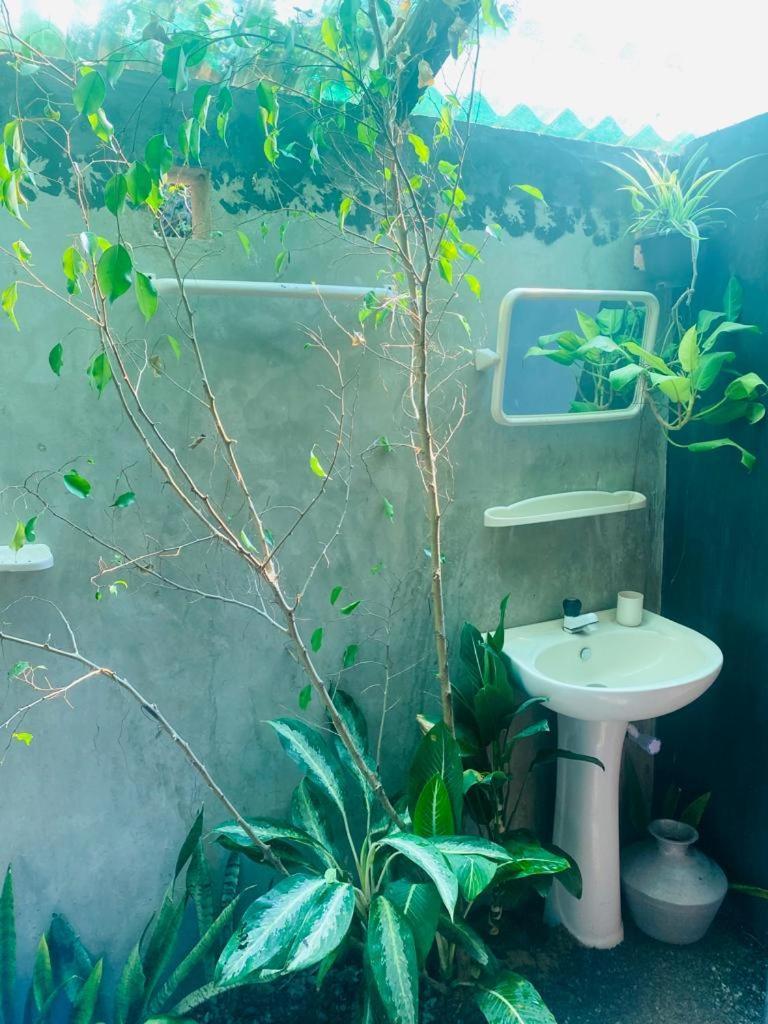 Malabar Home Stay Jaffna Phòng bức ảnh